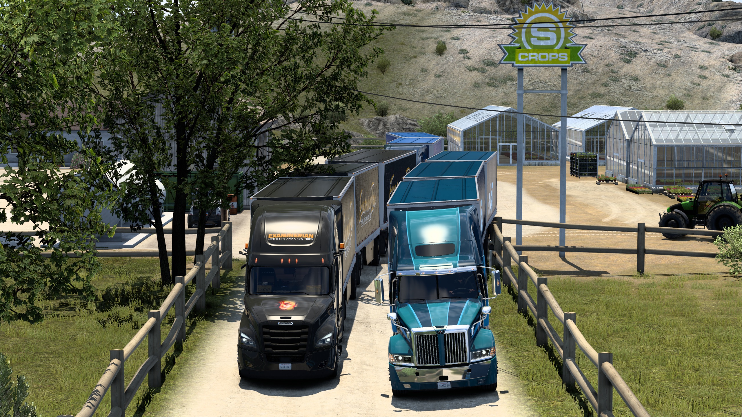 Image by ExaminerIan