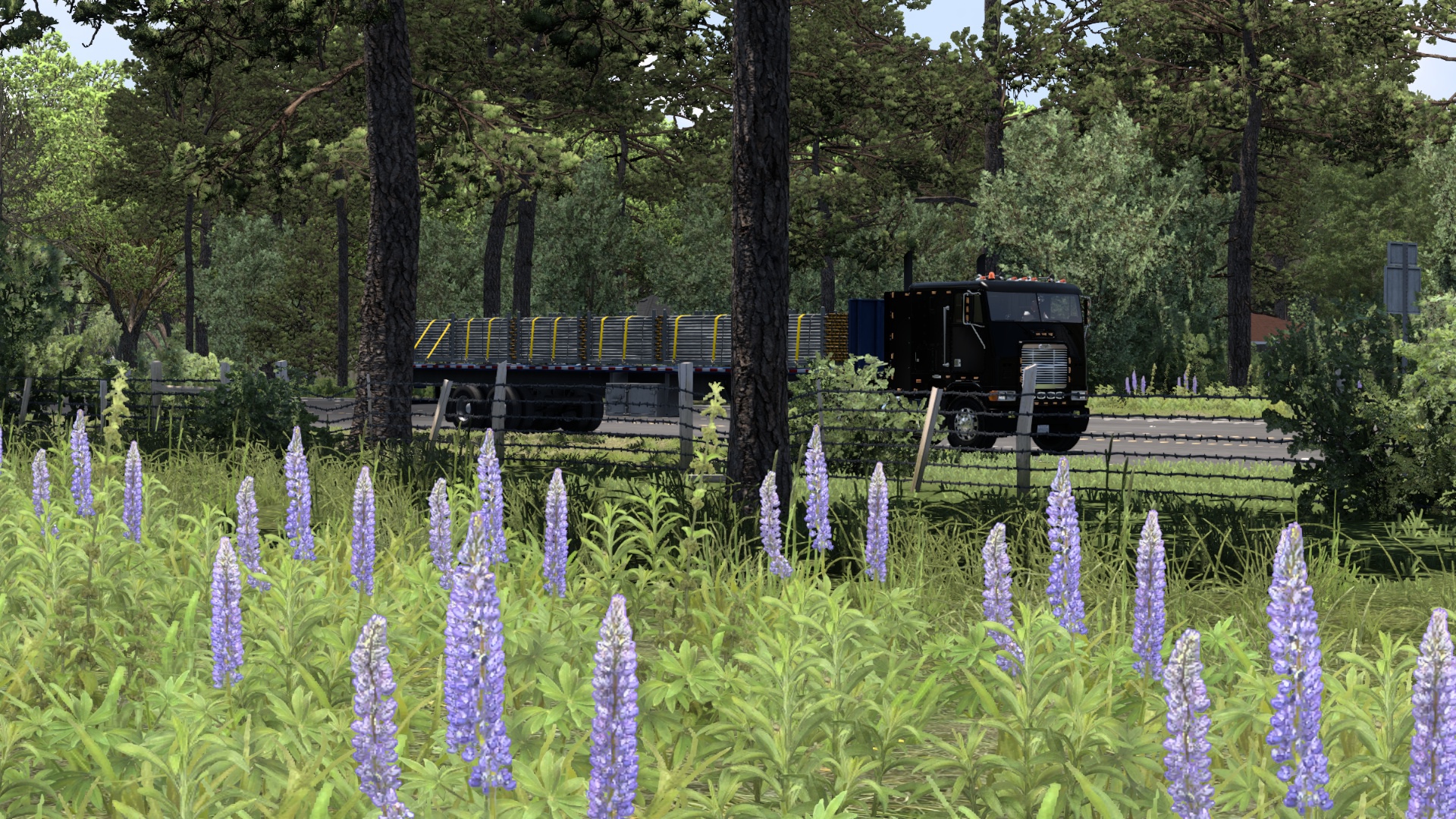 Image by ltn_alberich