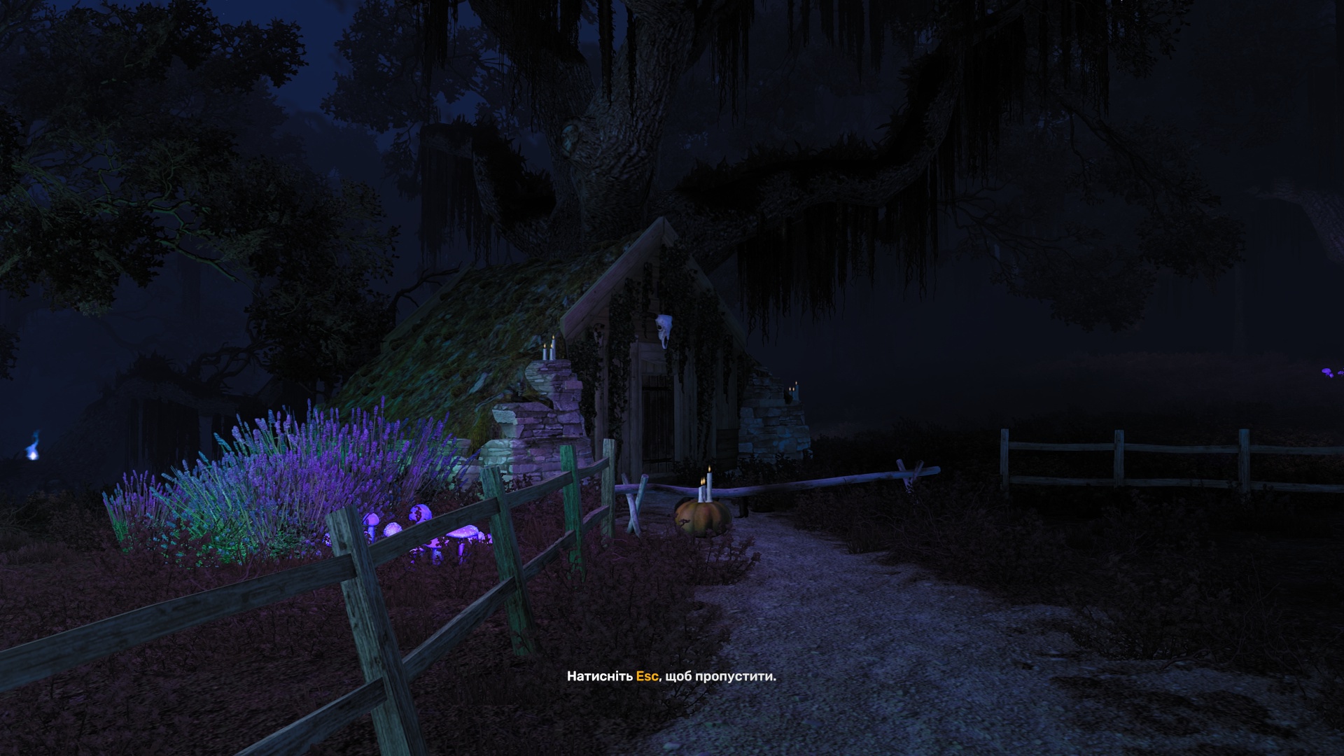 Image by DOOM_KAWALERA