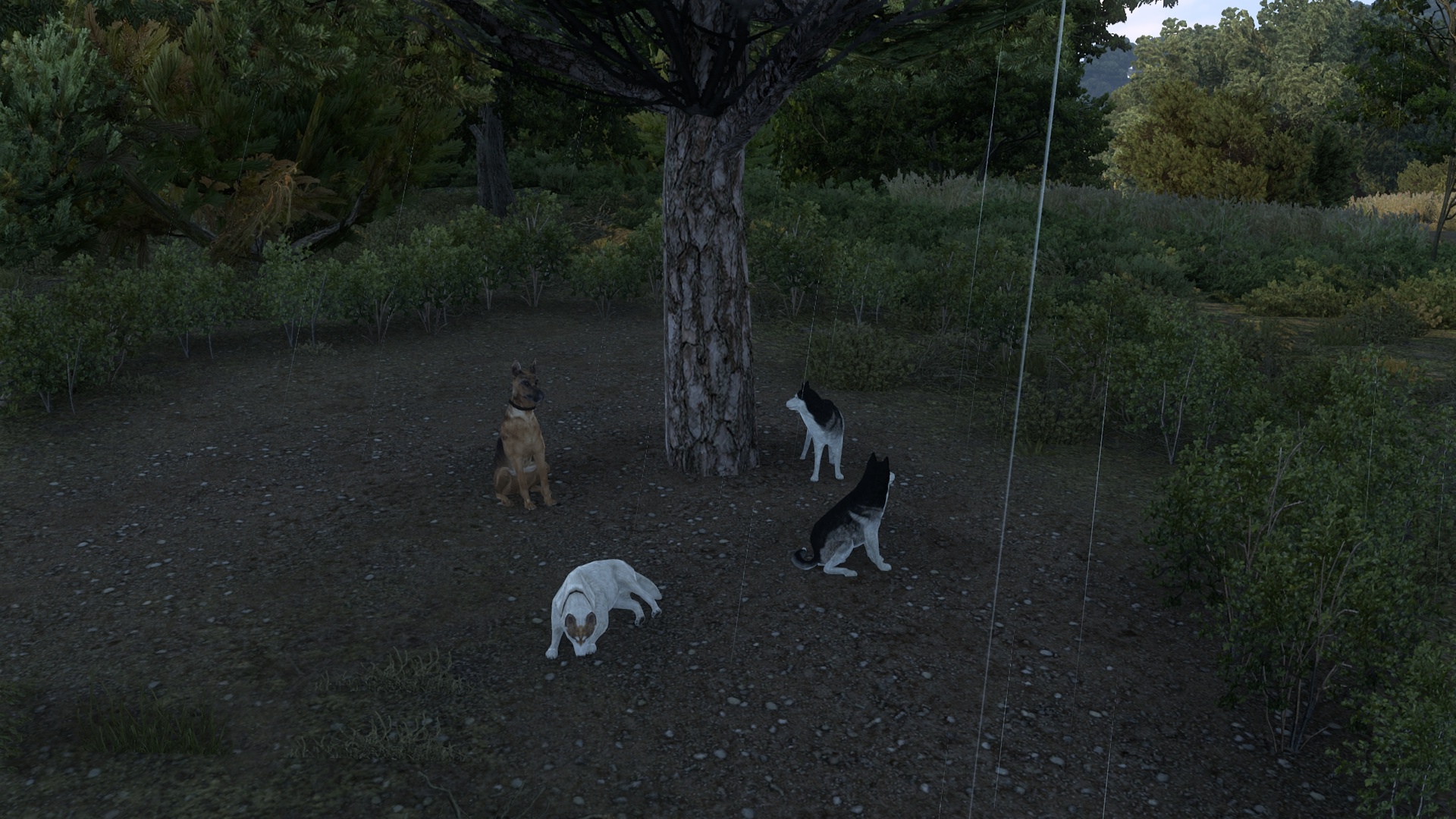 Image by NTechnicsGTS