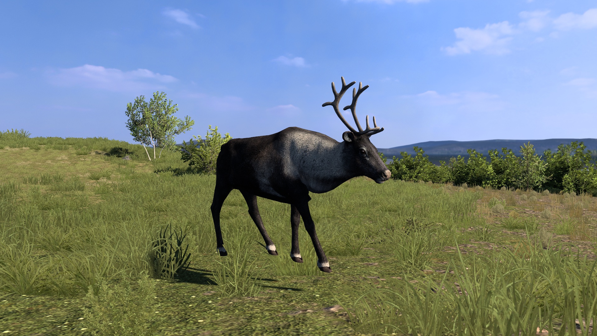 Image by Insomnivore