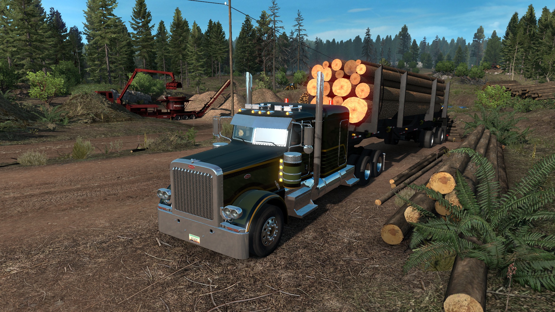 Image by RoadyRunner