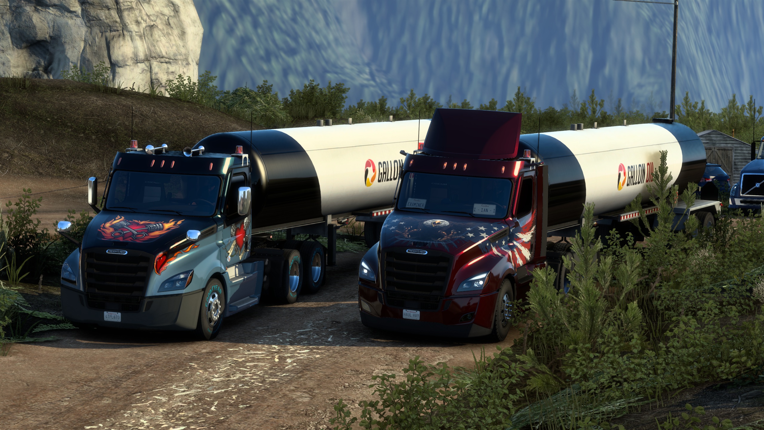 Image by ExaminerIan