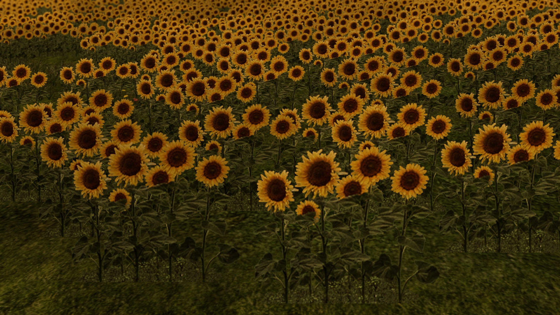 Image by Raoulen