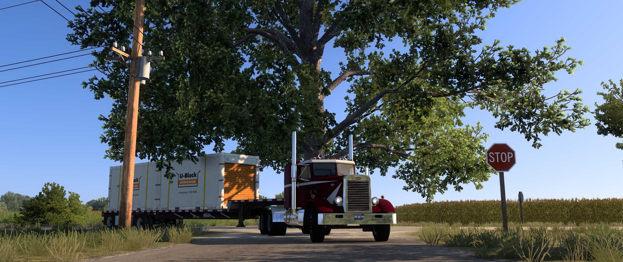 Image by vladimirx20011