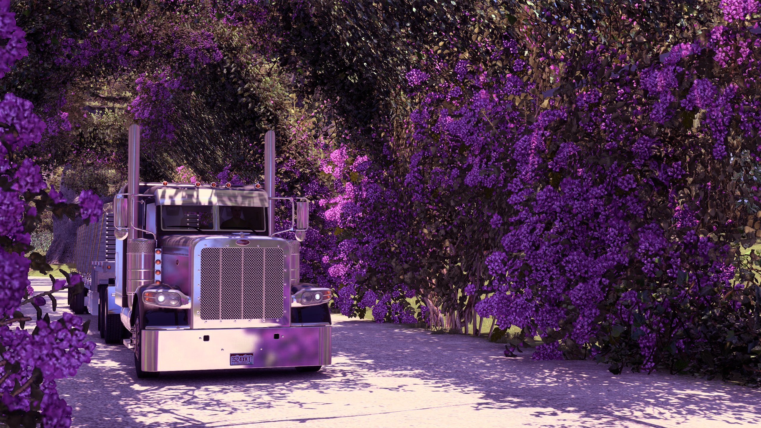 Image by sergey_doronin