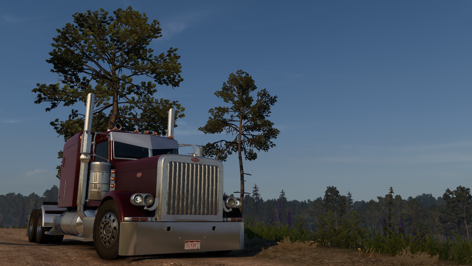 Image by sergey_doronin