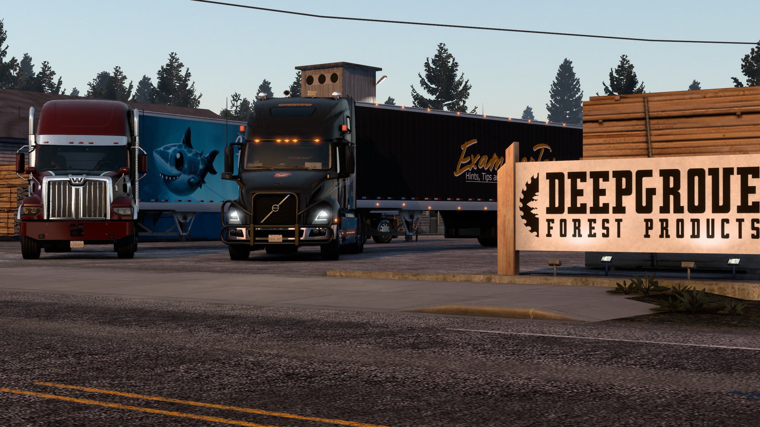 Image by ExaminerIan