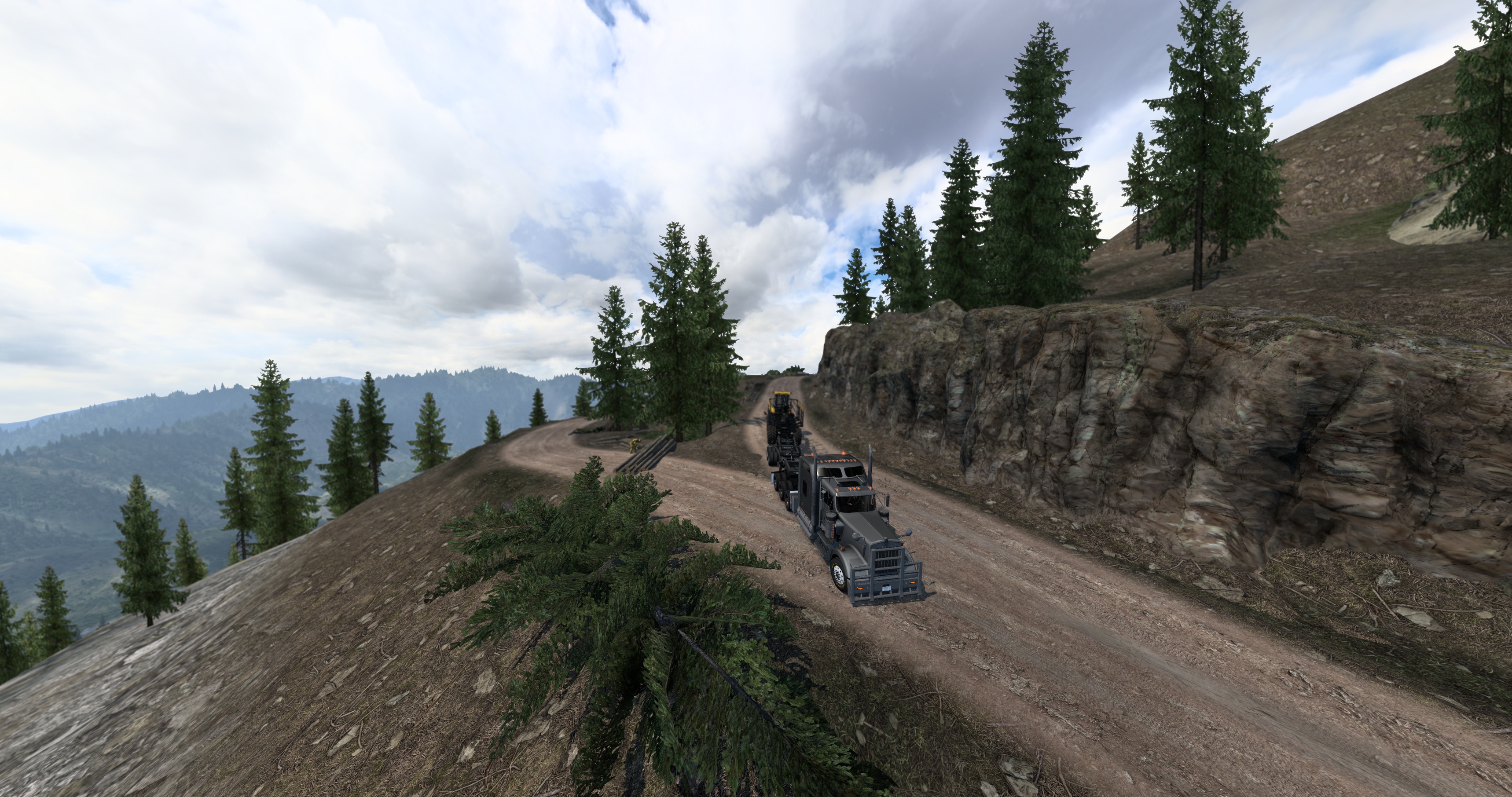 Image by mackforever1