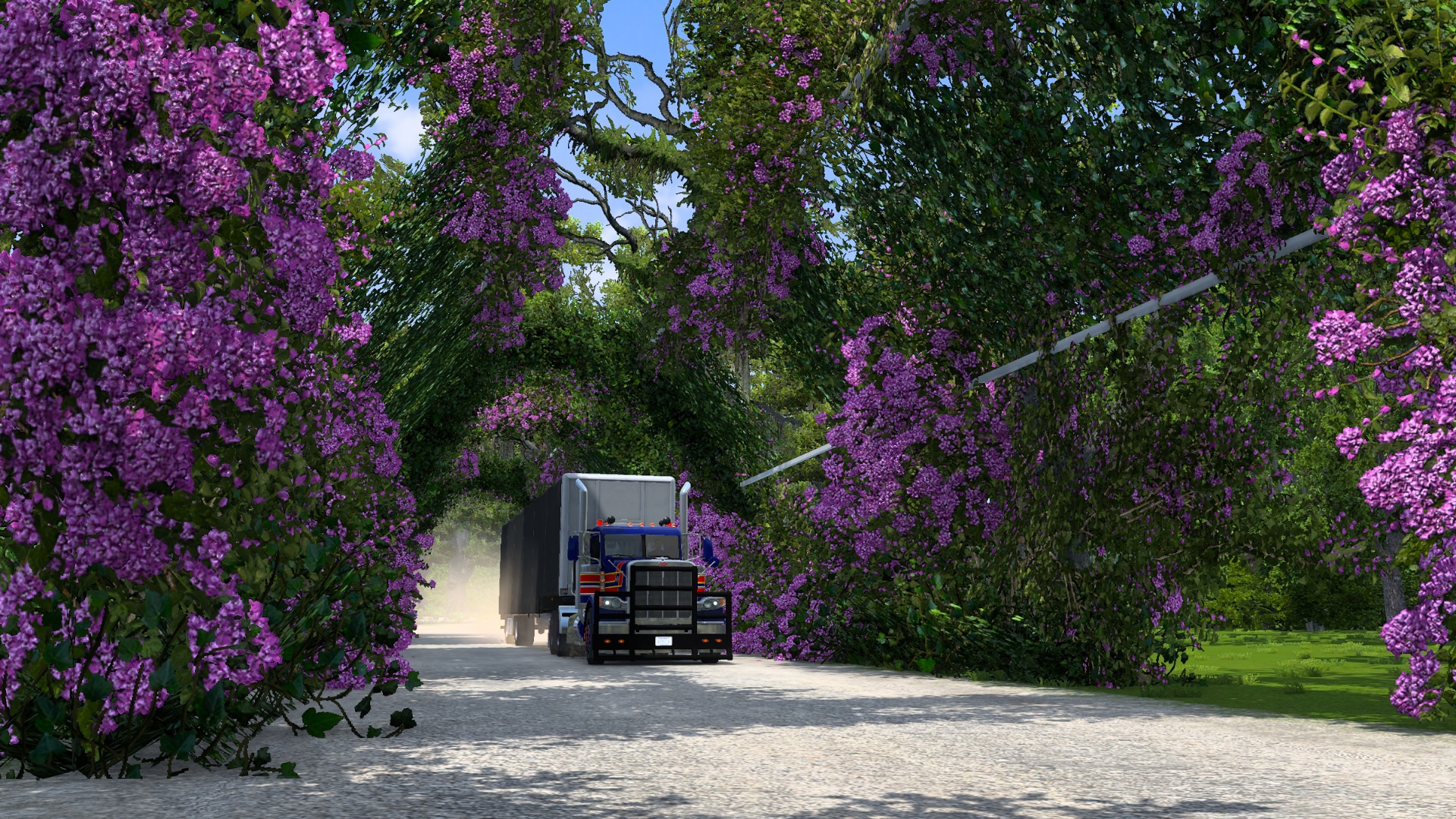 Image by alfit145
