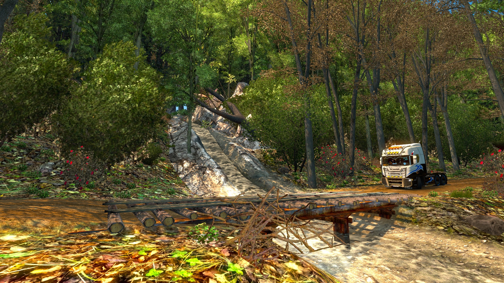 Image by krzysztof_23