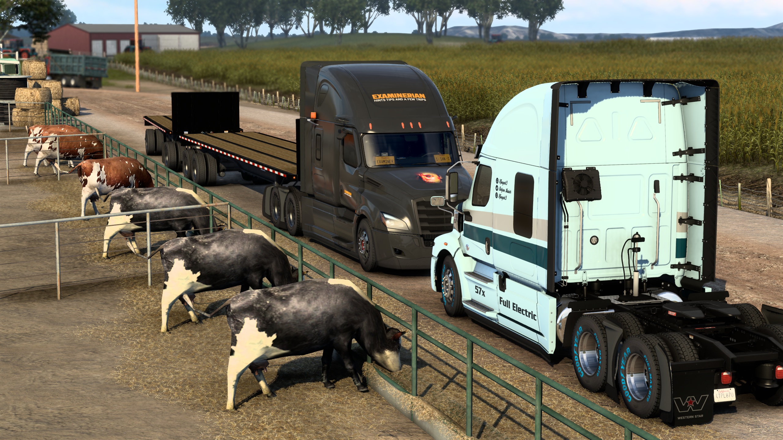 Image by ExaminerIan