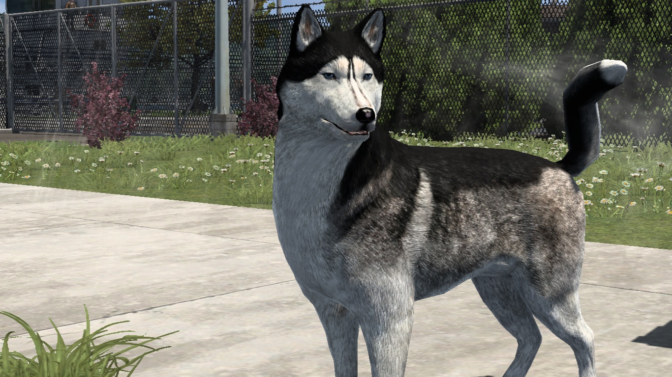 Image by Zigzags1989