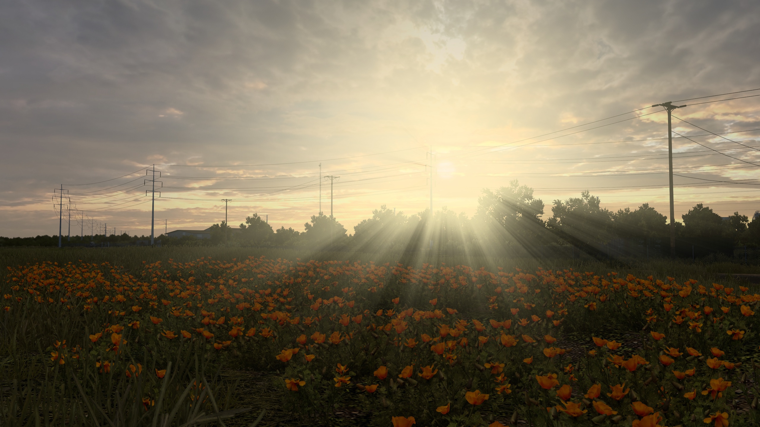 Image by dxctnl666