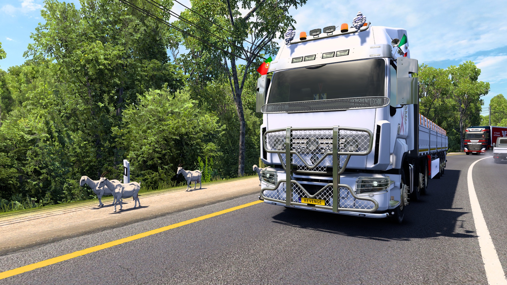 Image by MALDITO_OLIVER