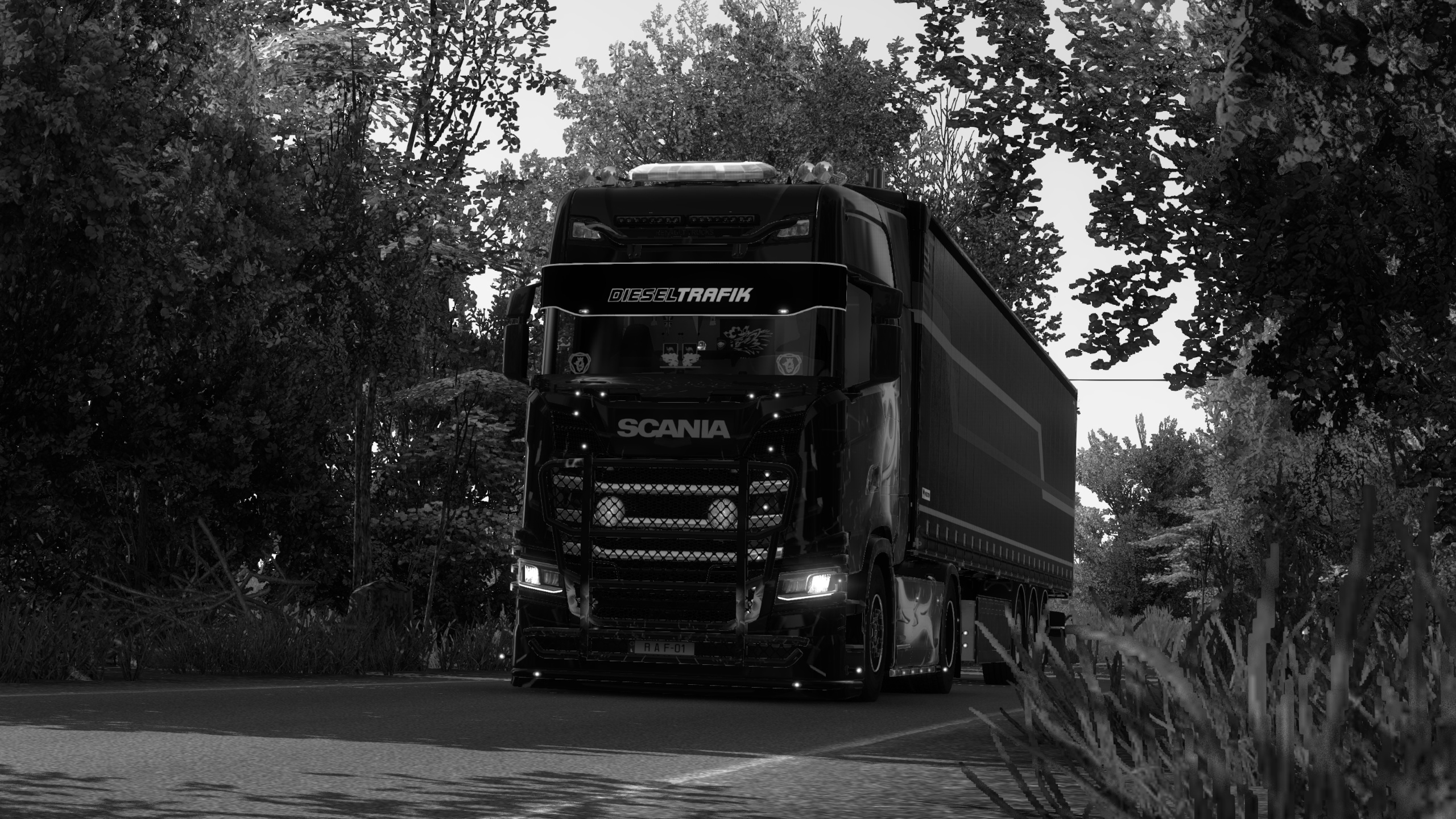 Image by amelia1313_pl