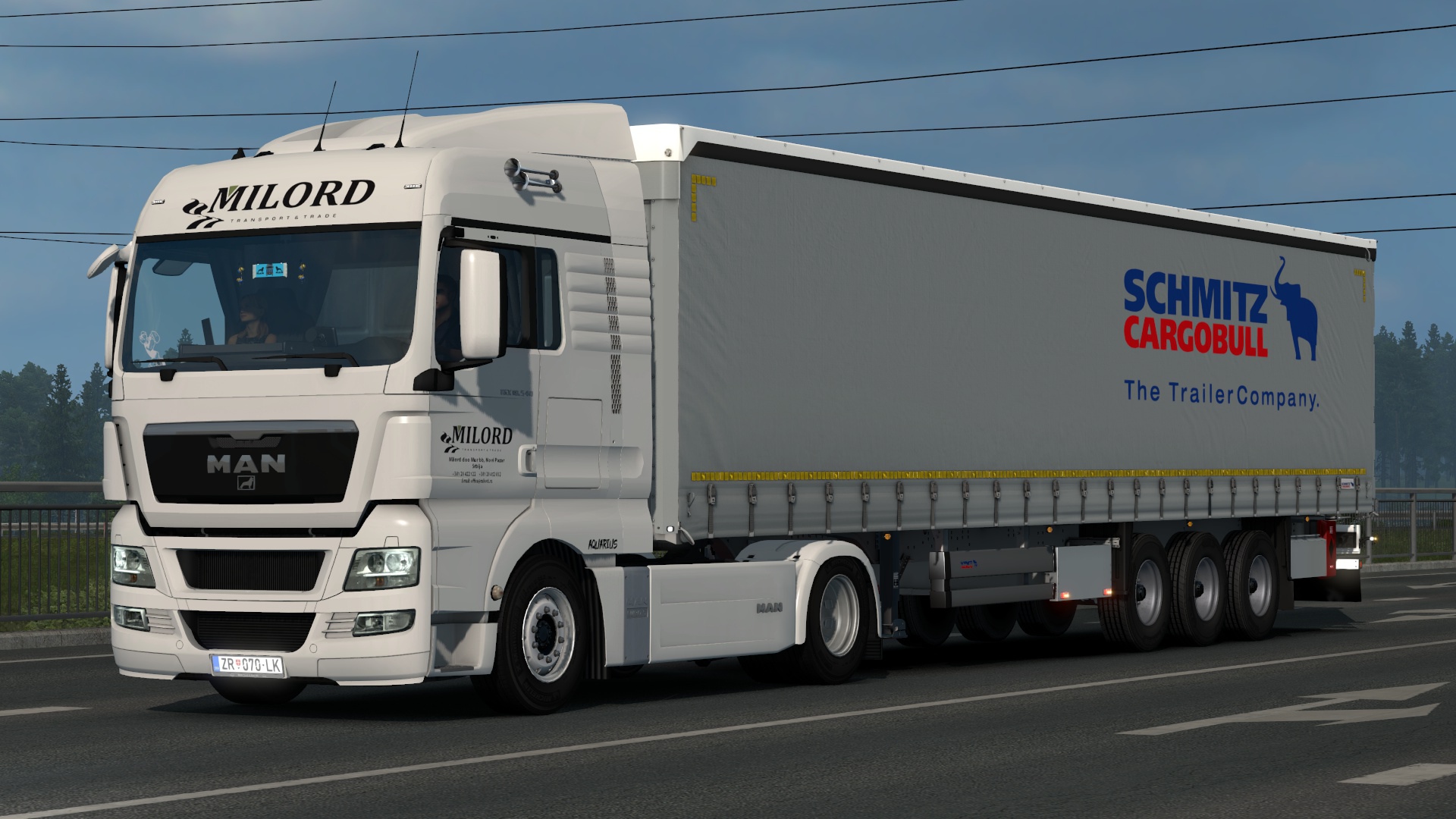 Image by AquariusSkinArt