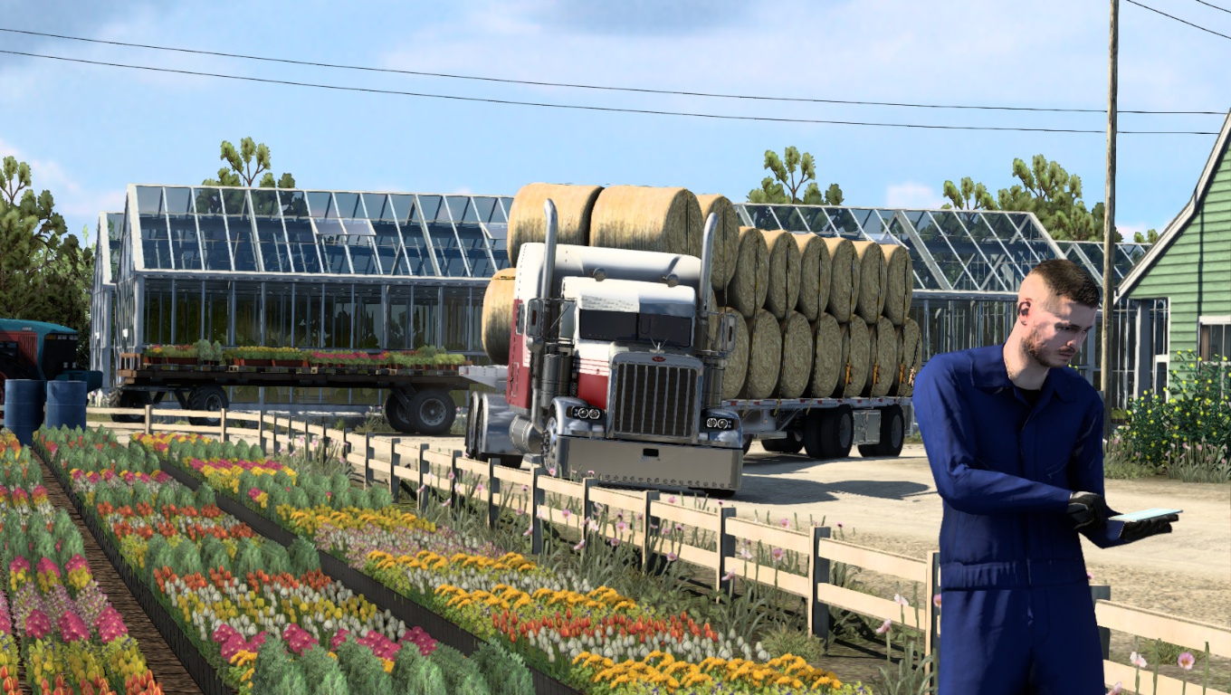 Image by rafael_petit