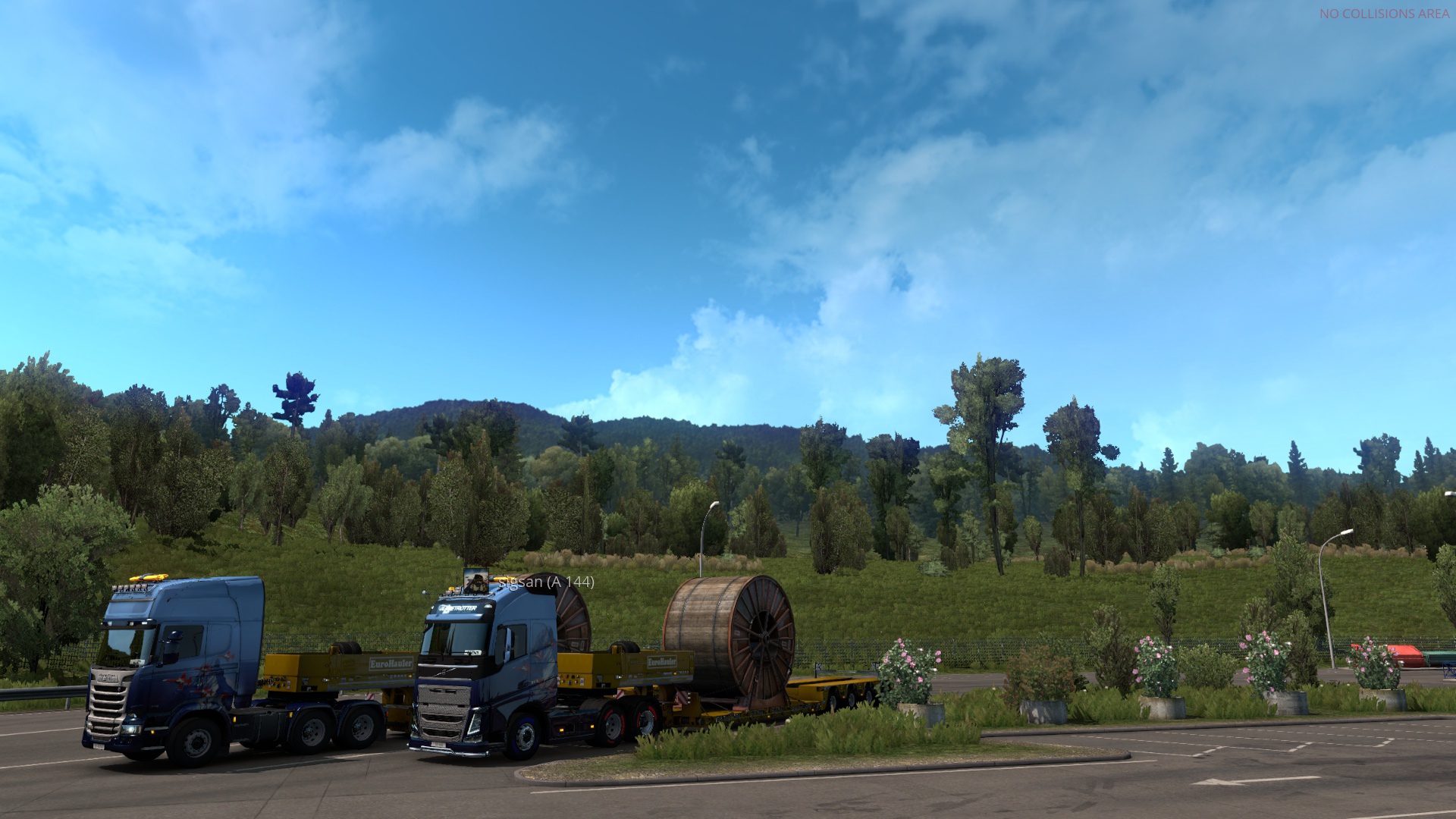Image by dariop43