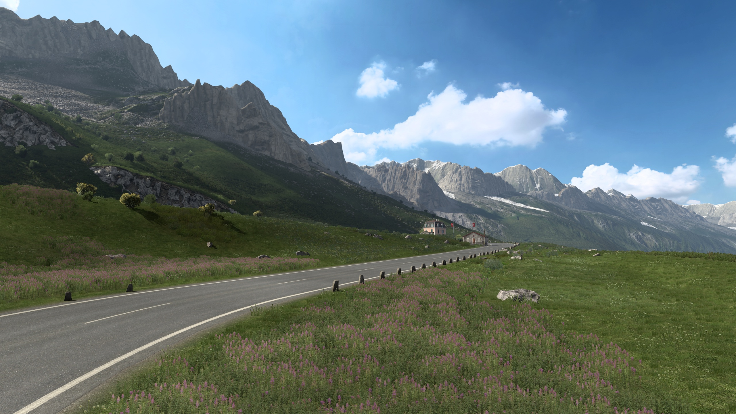 Image by ThreeMagicDog