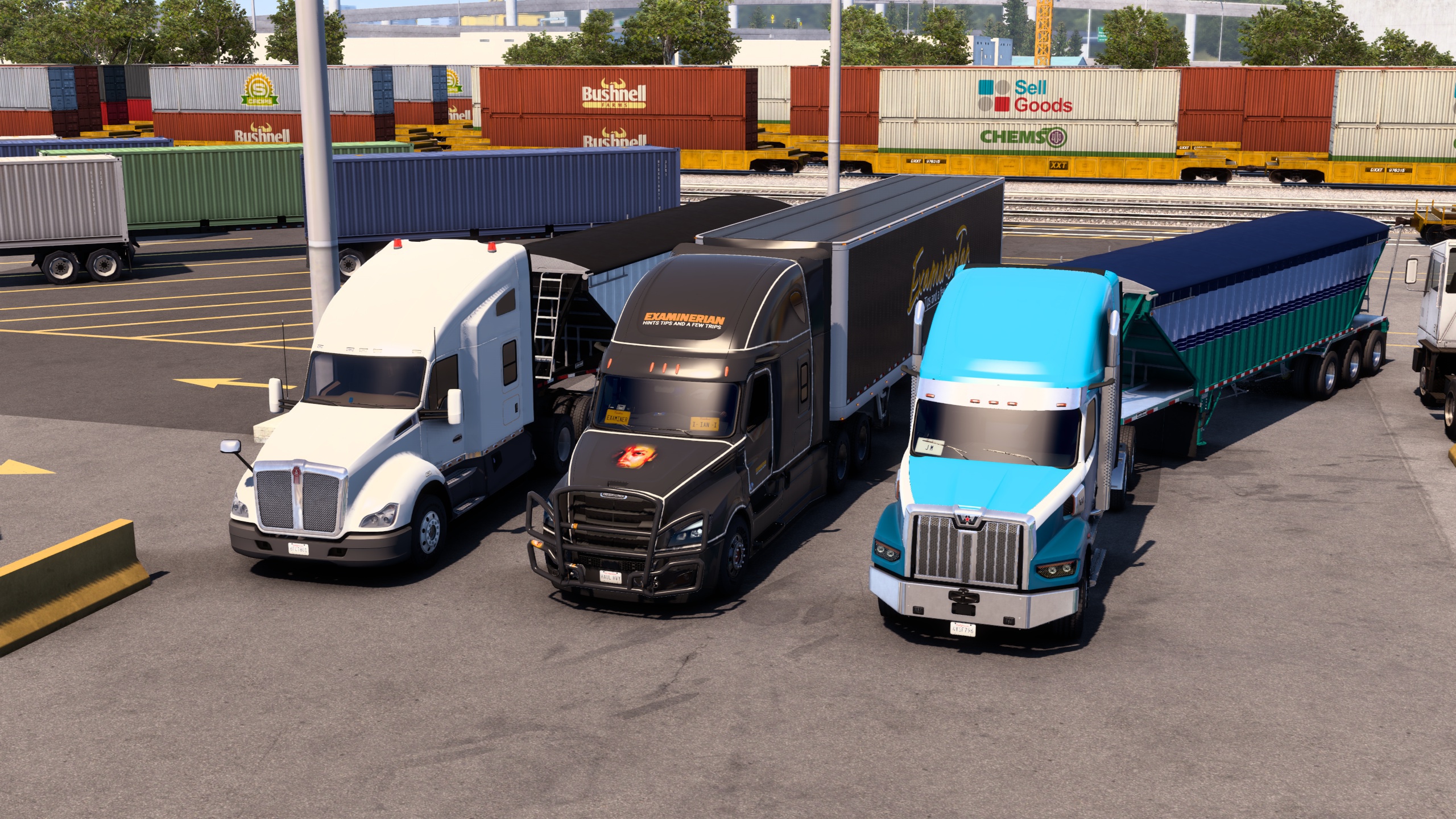 Image by ExaminerIan