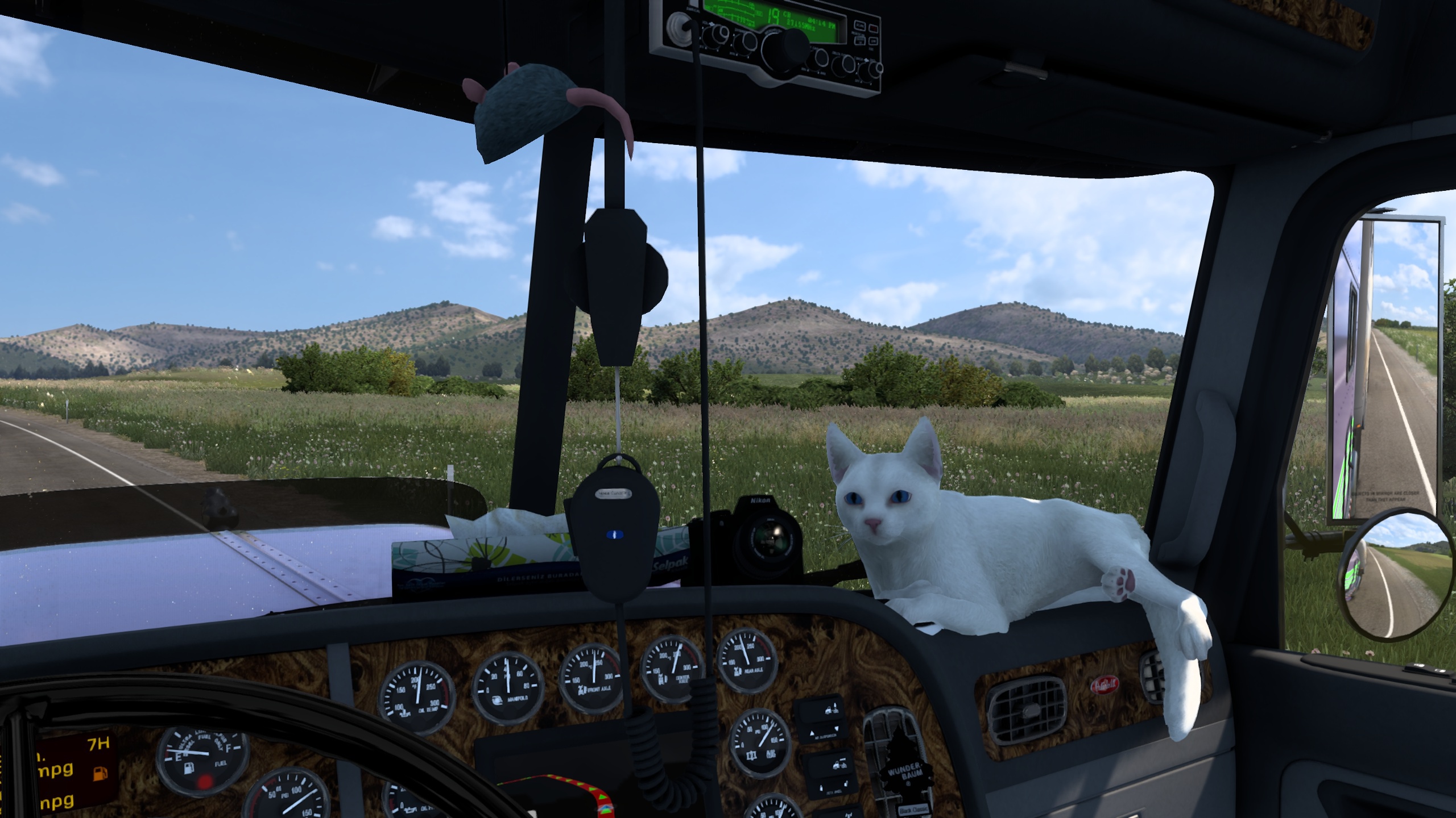 Image by Miatanon_McLovin