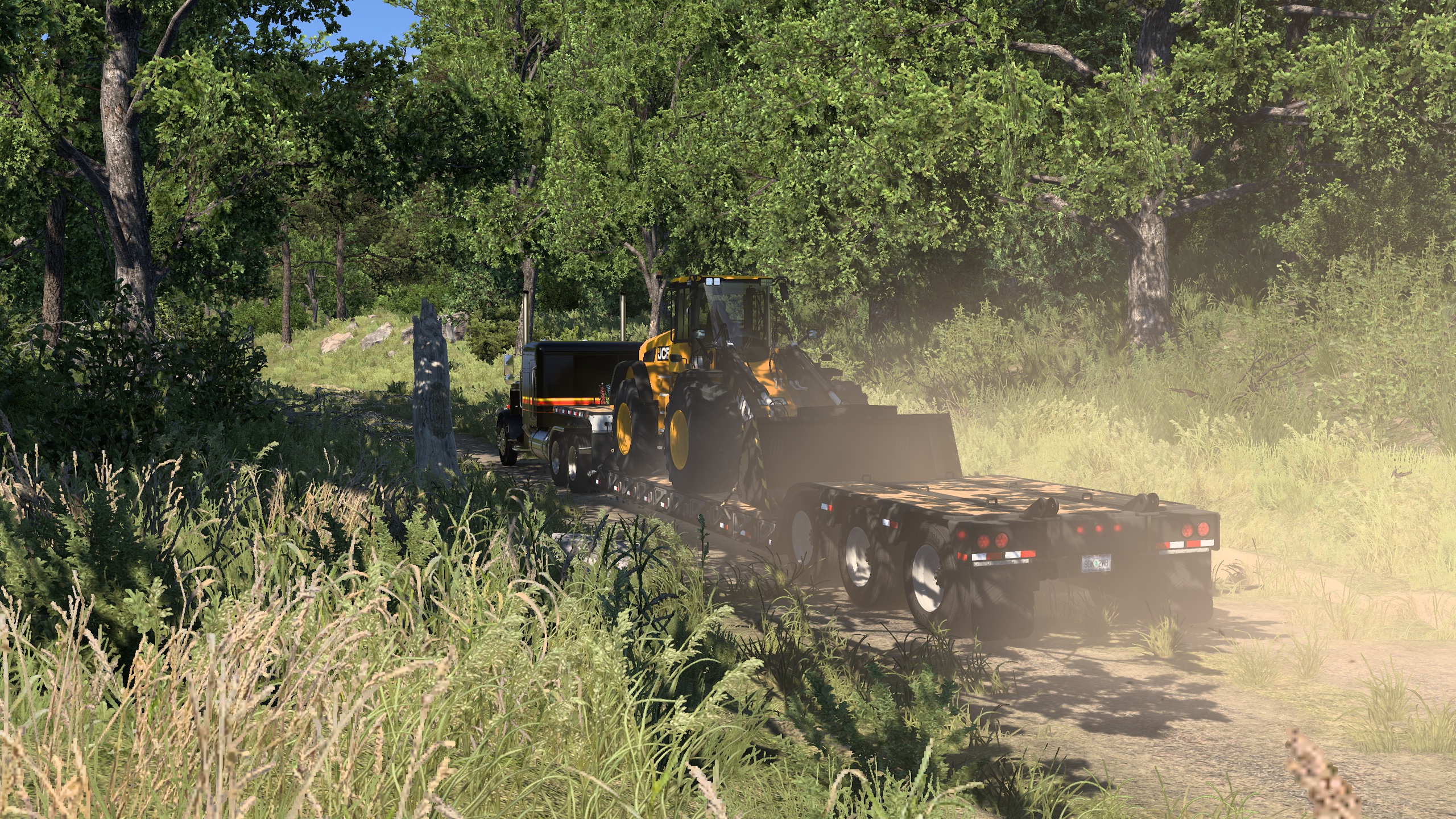 Image by jenzGuitarist