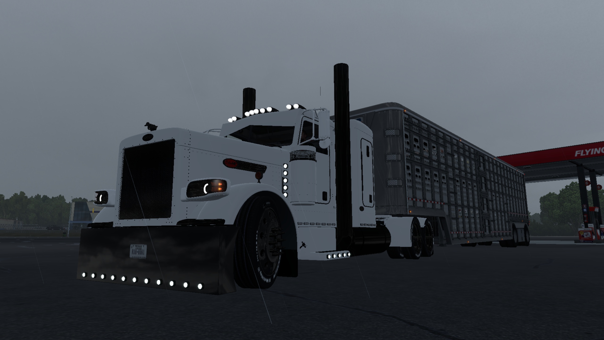 Image by zmorris2727