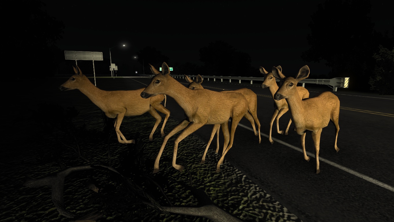 Image by aghakeshmiripp