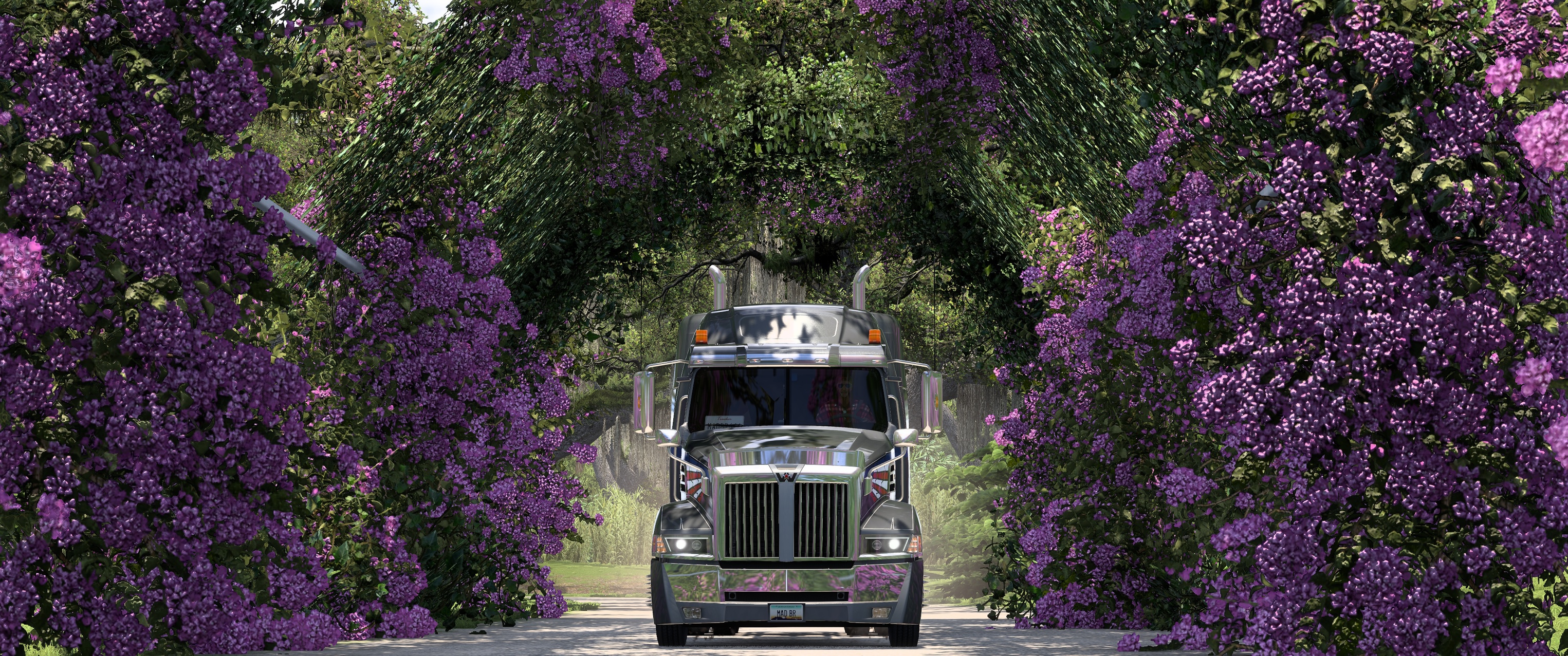 Image by madrugagato