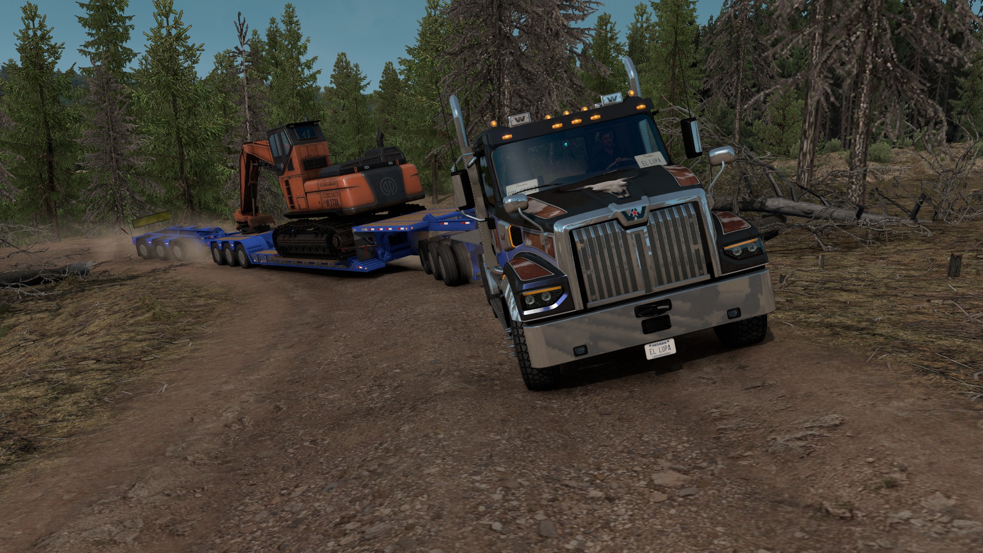 Image by lupacchini_juan