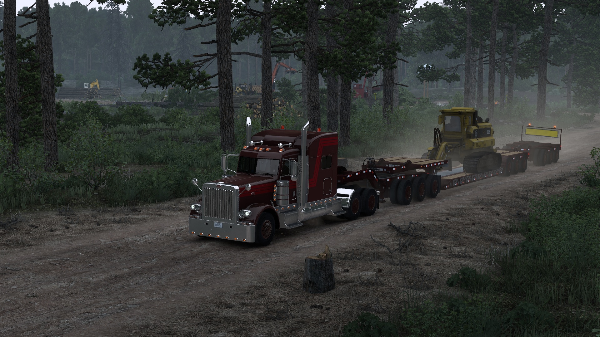 Image by k_maciorowski