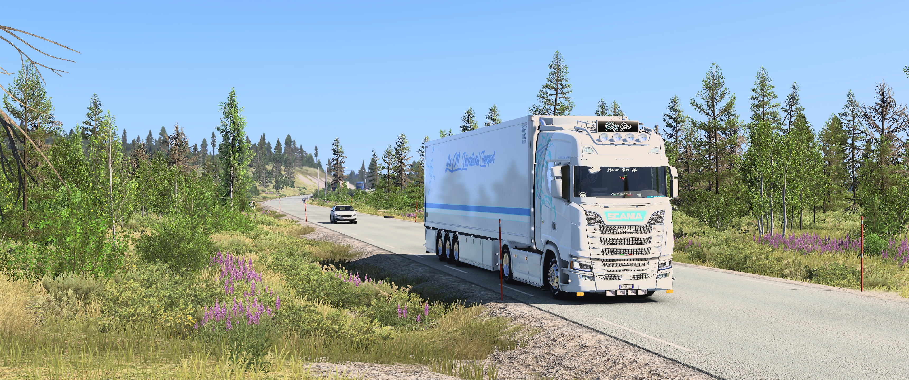 Image by plecottero61