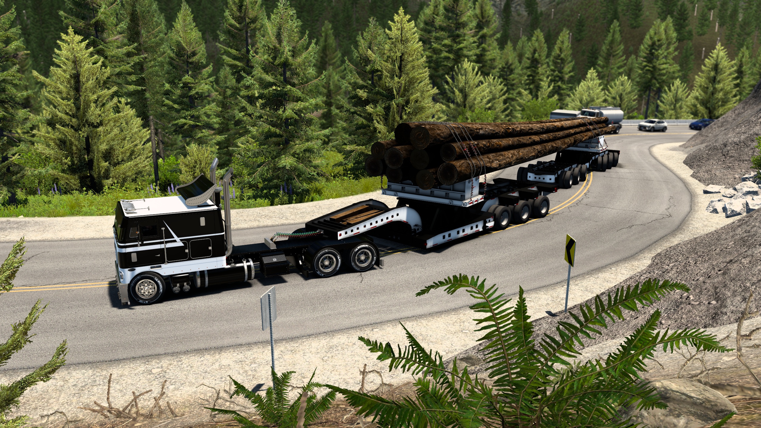 Image by Bearded_Bushman