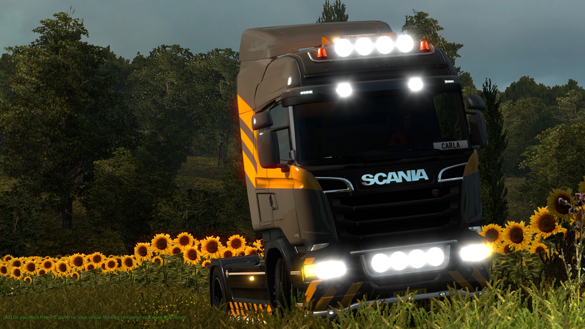 Image by carlabroedel