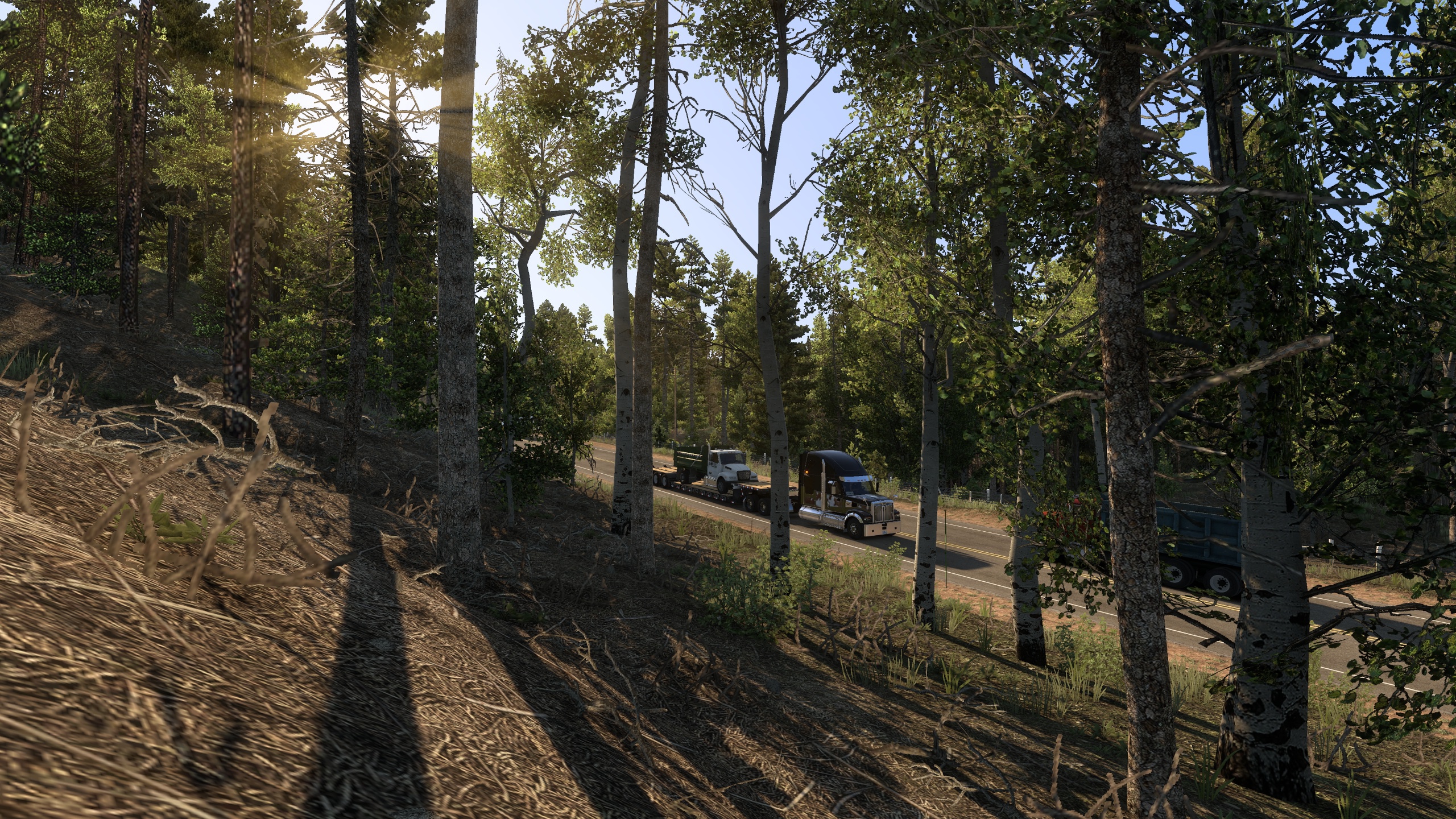 Image by pepperspray0815