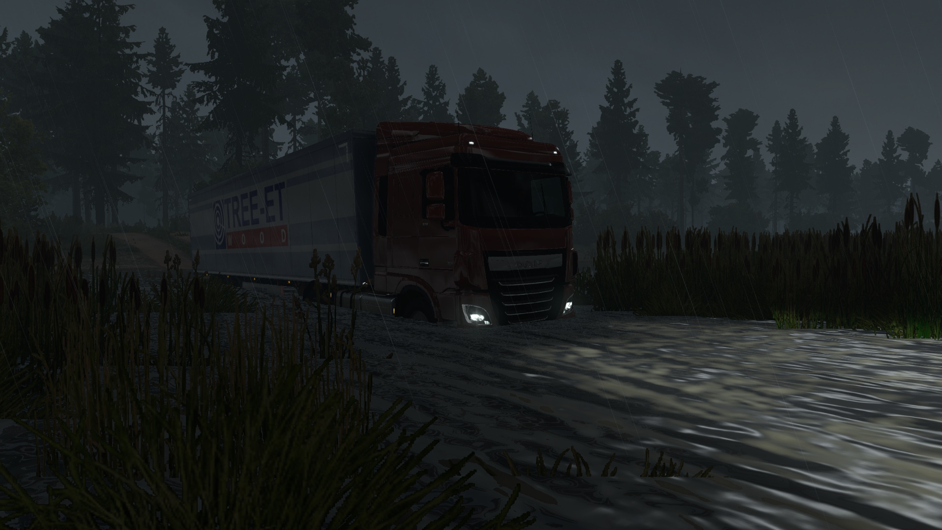 Image by GERALD0186