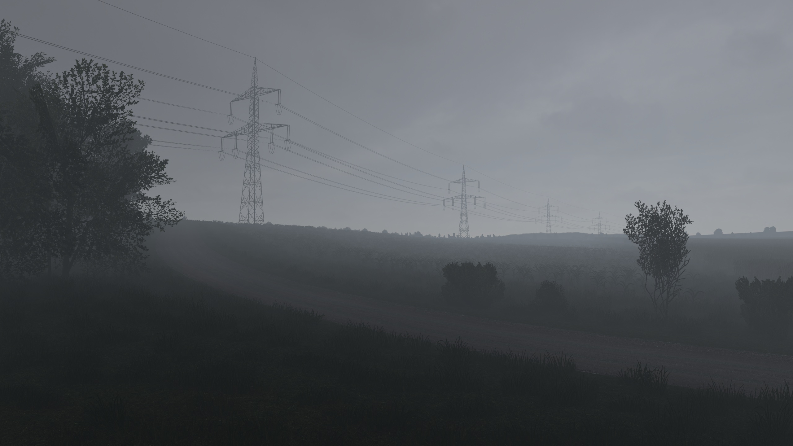 Image by simplyyang