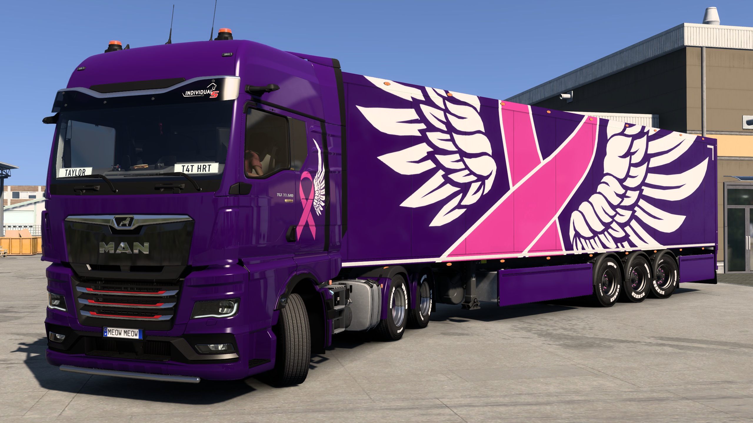 Image by hungryforcatnip