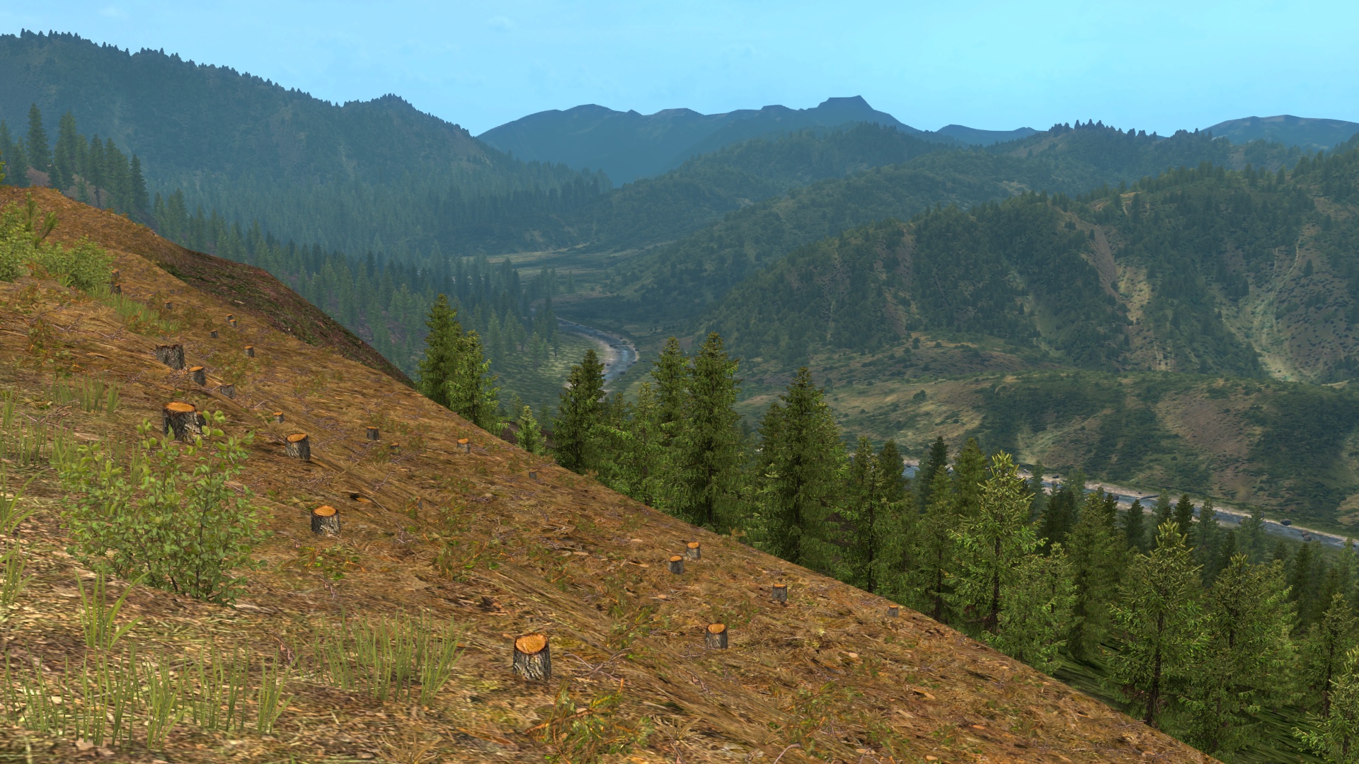 Image by celalisil89