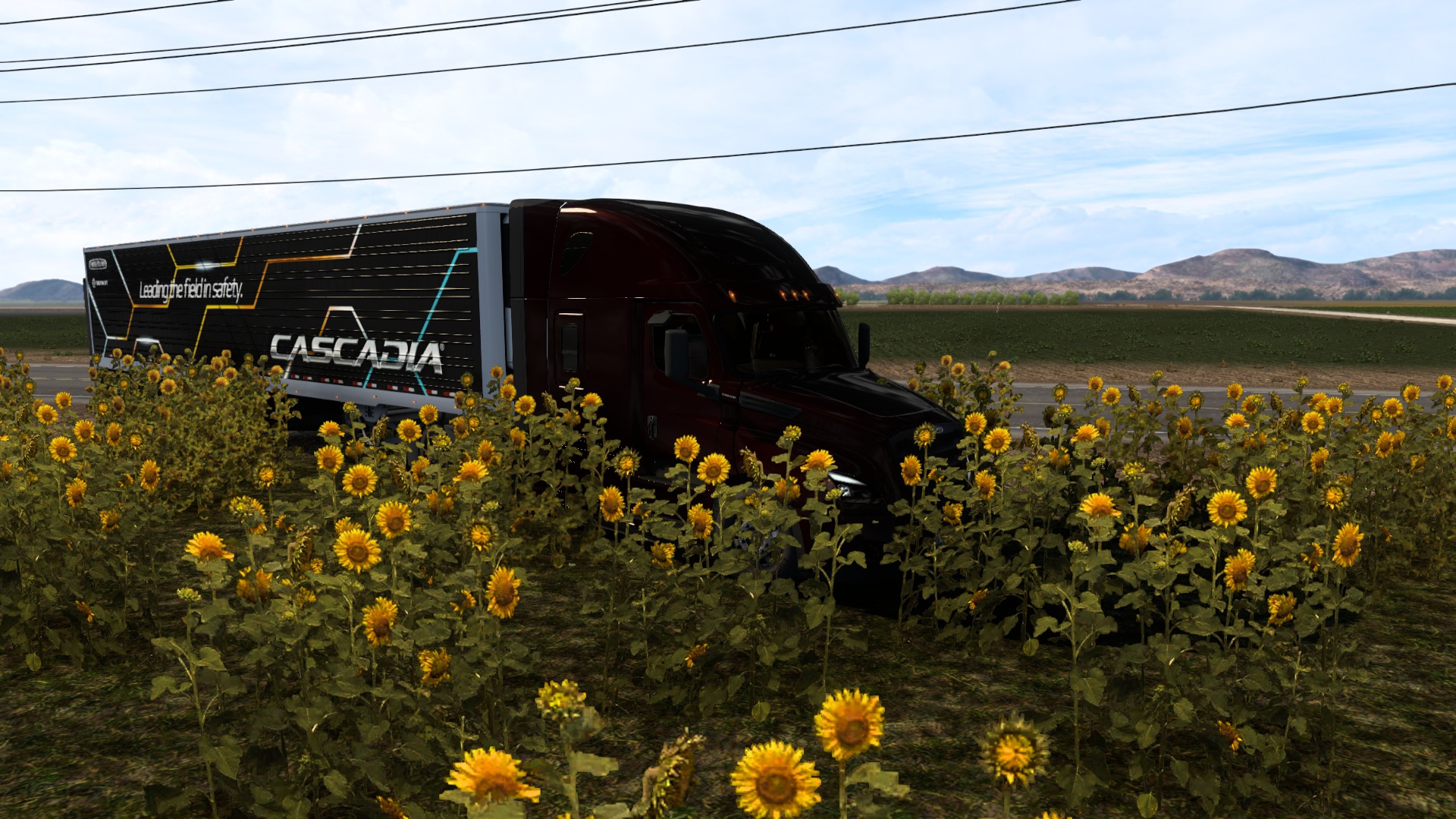 Image by PICAPIEDRA450