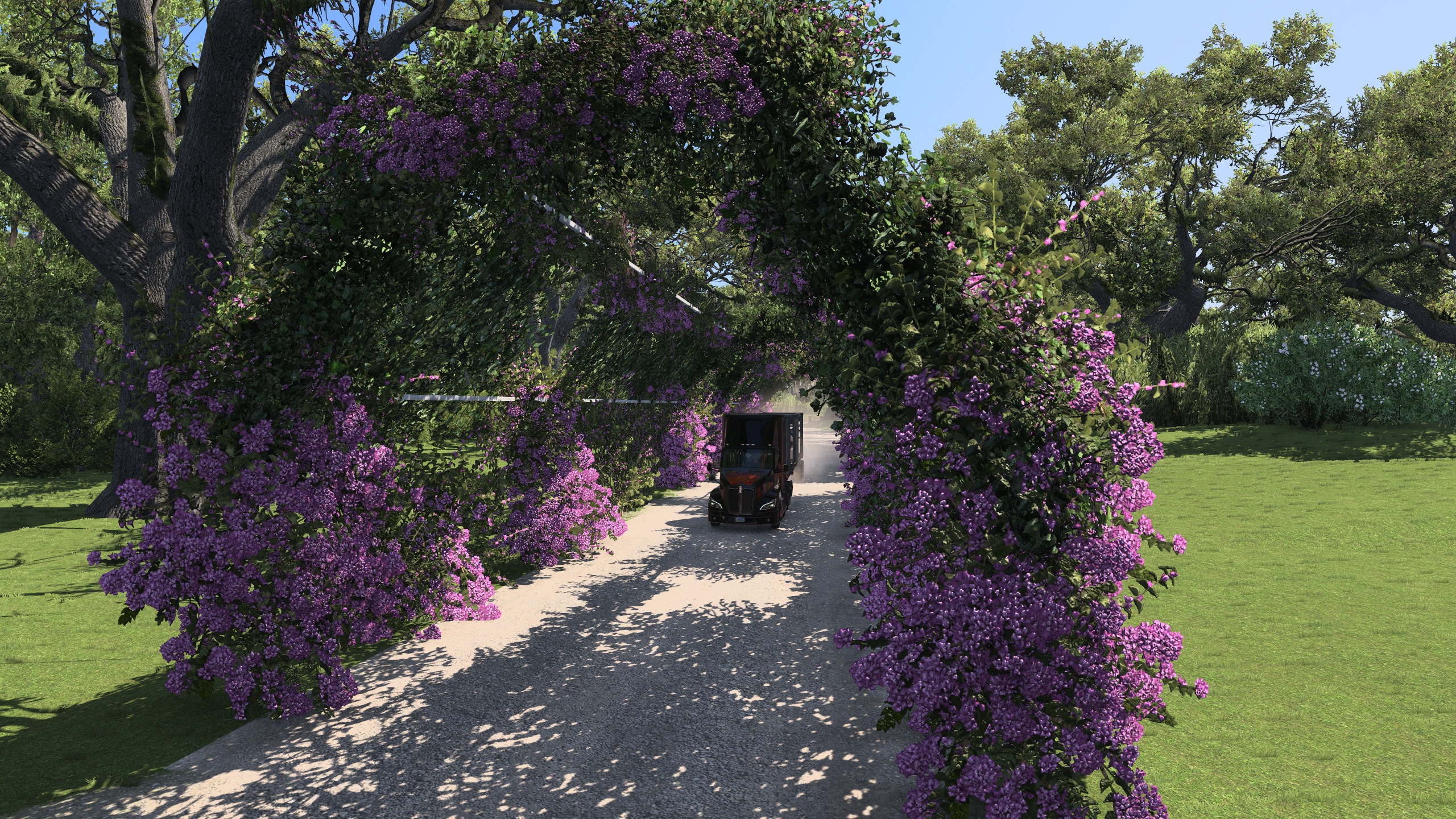 Image by Alexius_Prime