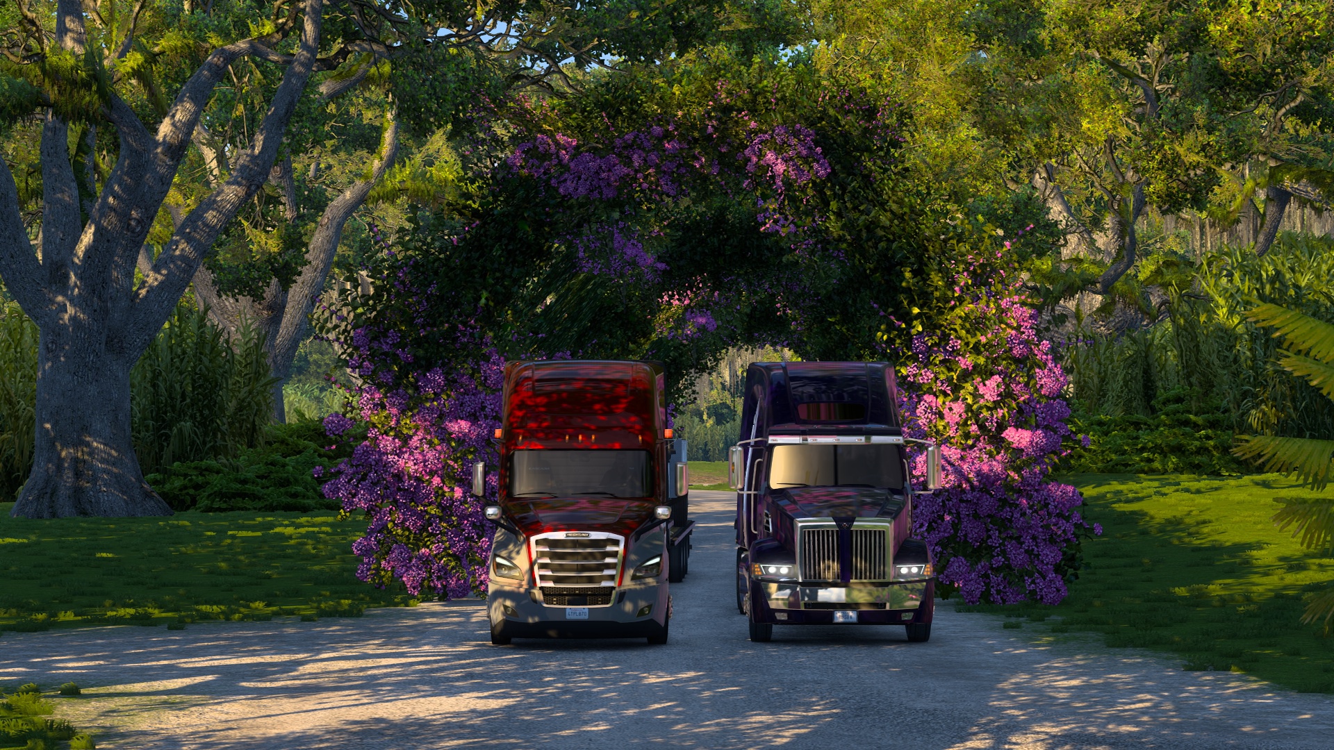 Image by luizinho017