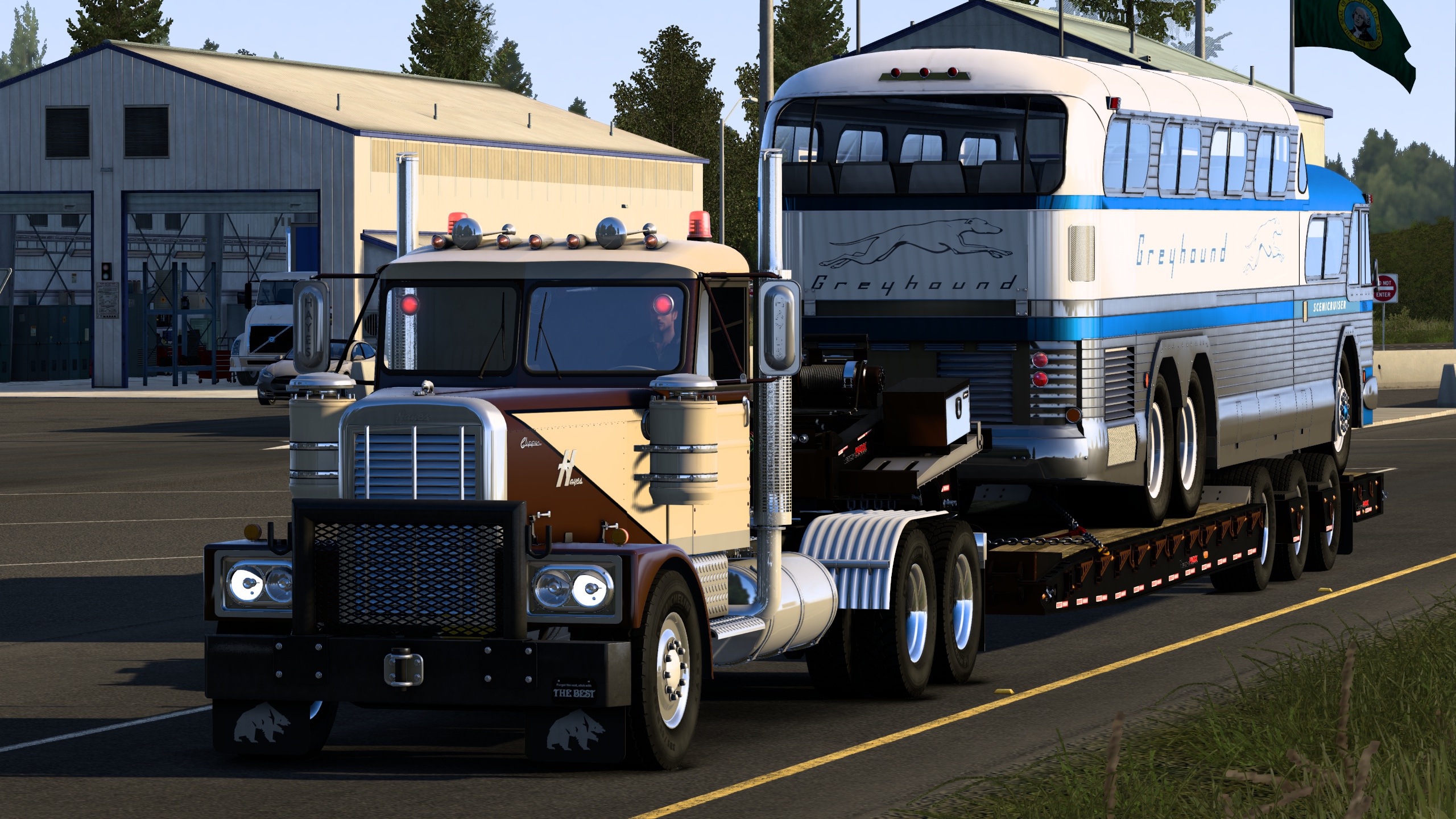 Image by Bearded_Bushman