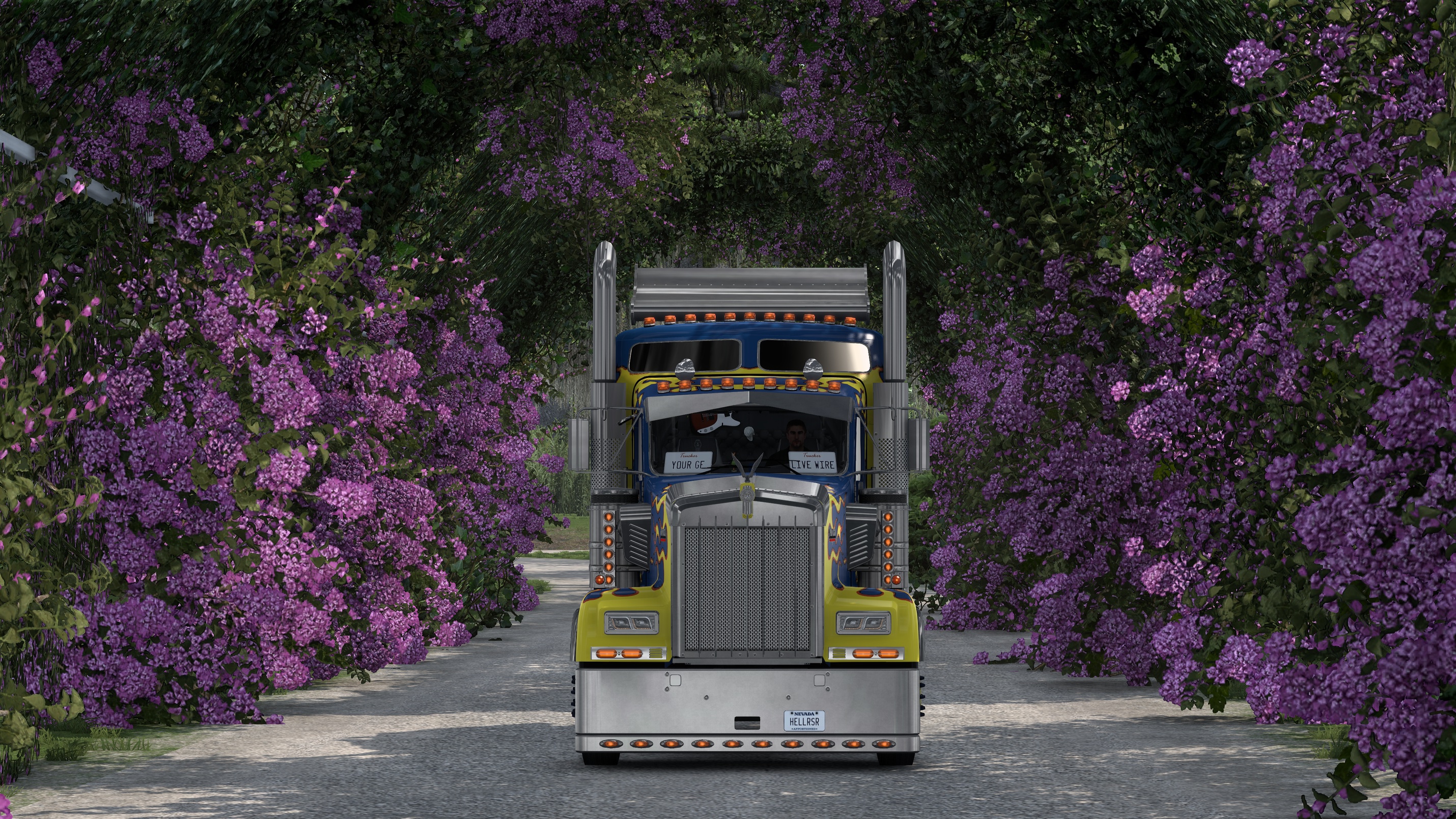 Image by LiveWire_1st