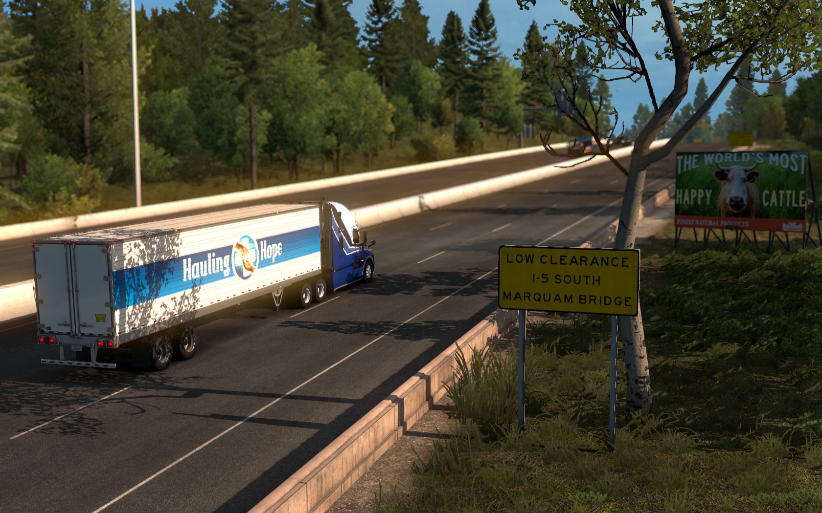 Image by ExaminerIan