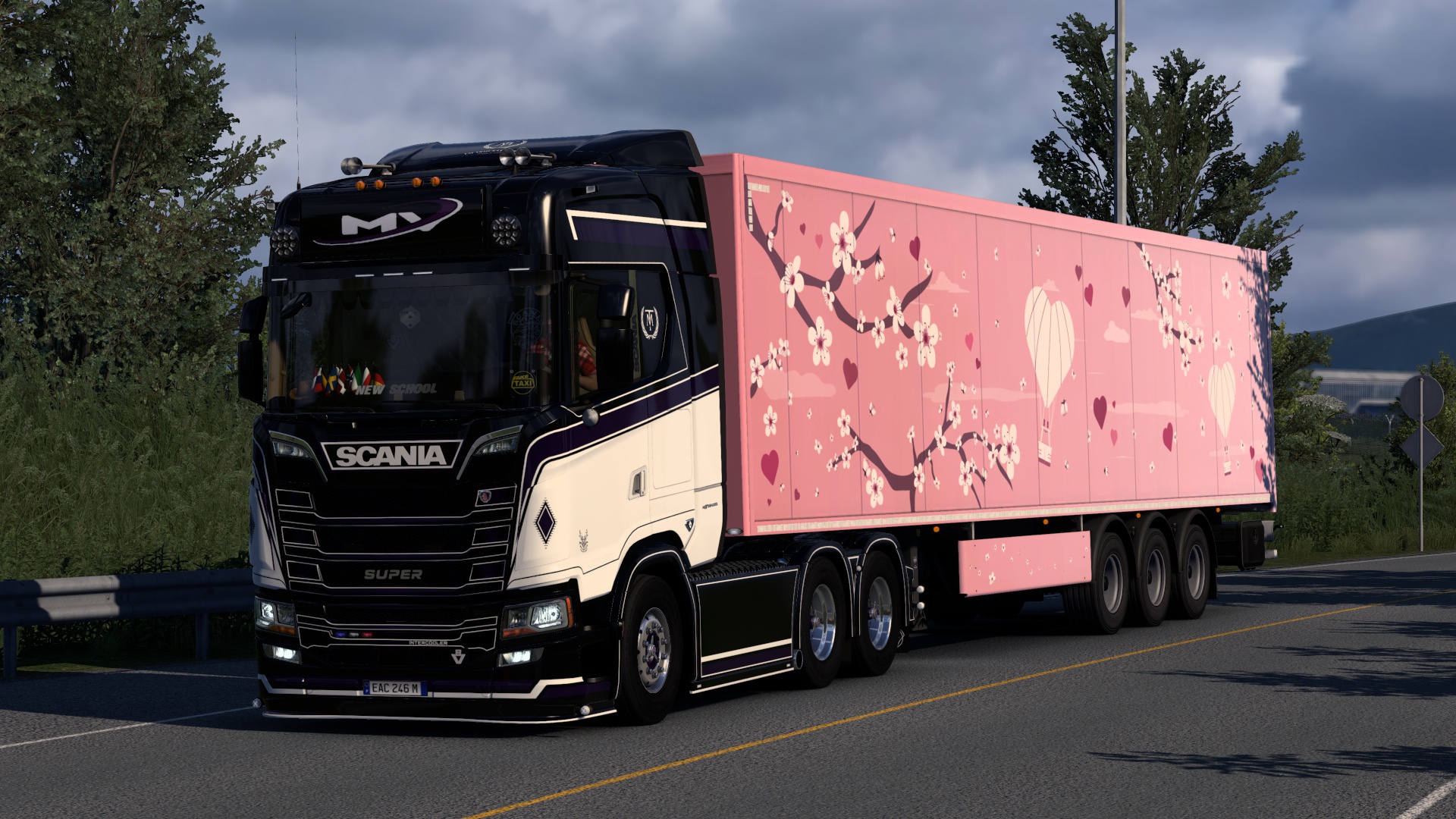 Image by mauvizcaino246