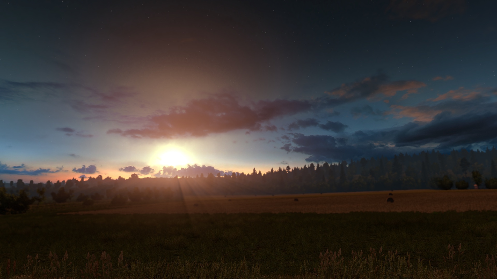Image by HLZDW
