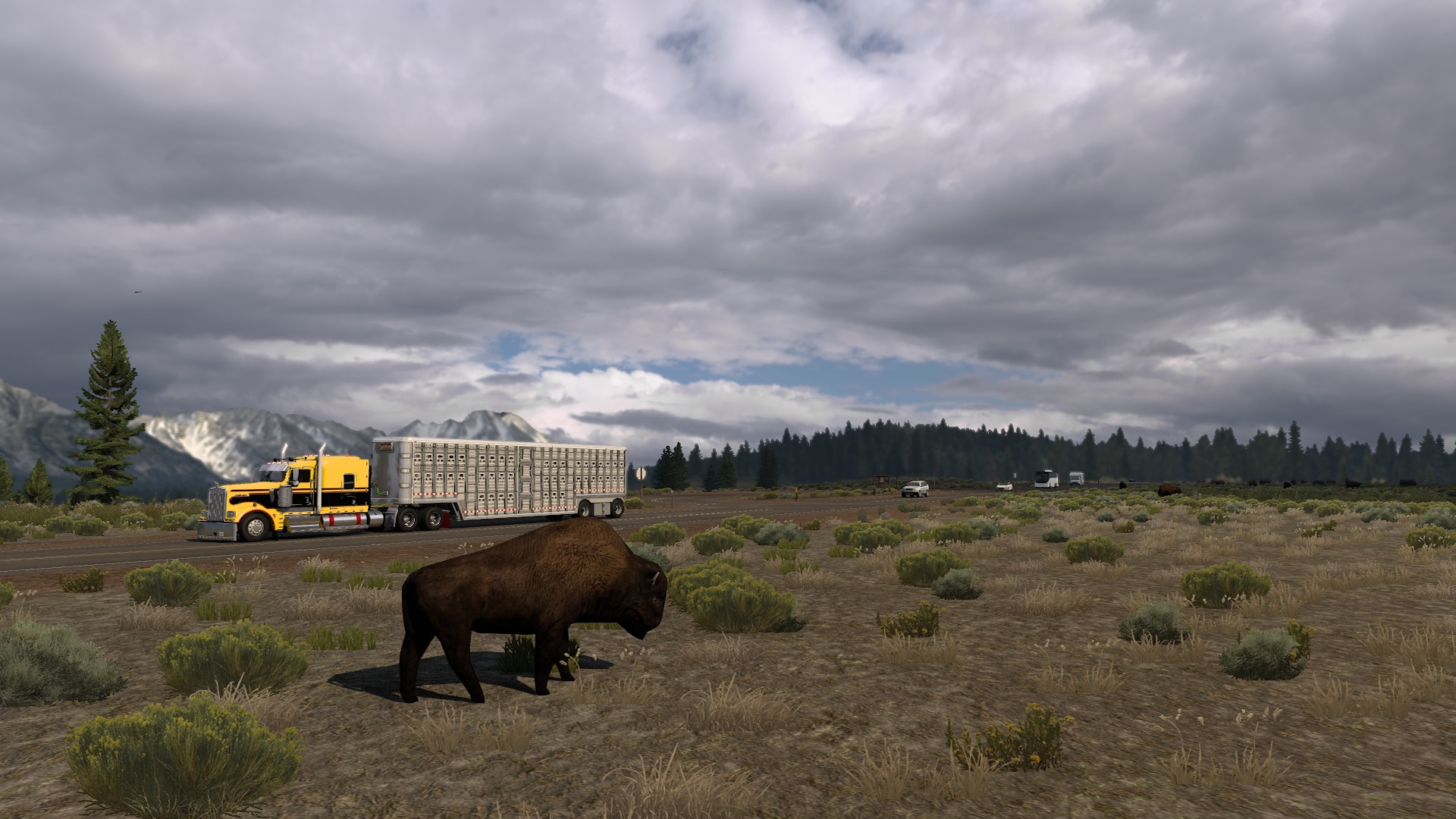 Image by fatonetti81