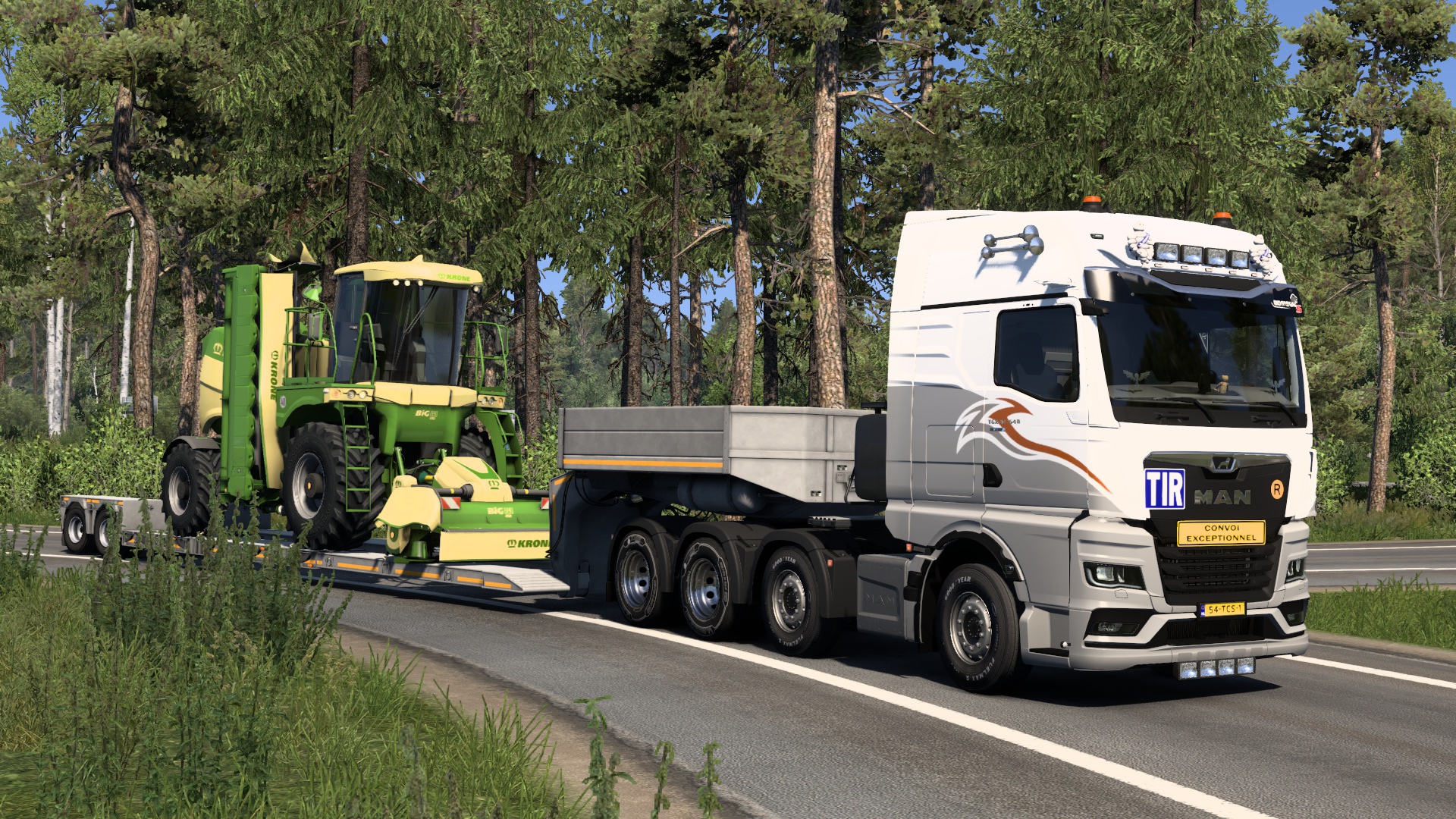 Image by tijdreiziger